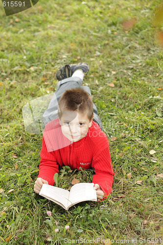 Image of Boy reading book on grass