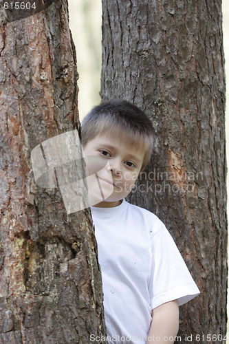 Image of Boy among trees