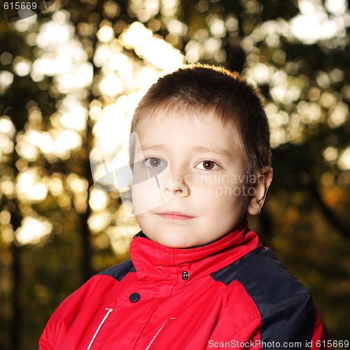 Image of Portrait of boy sitting in forest