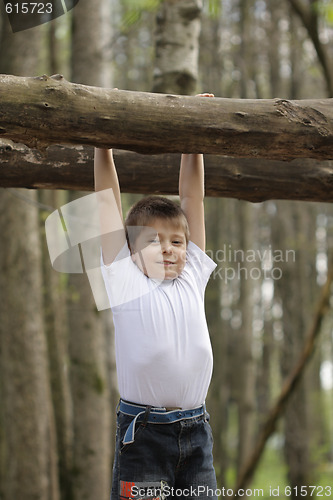 Image of Hanging on a log
