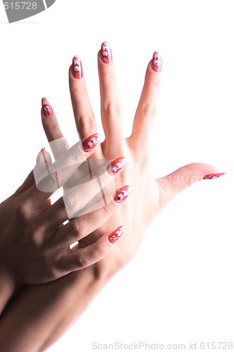 Image of Well manicured hands