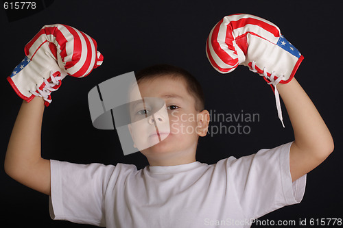 Image of Boxer winner
