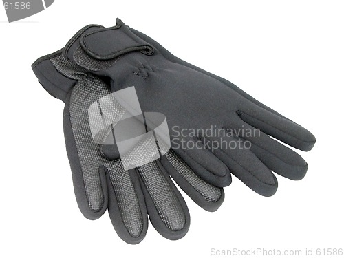 Image of Gloves