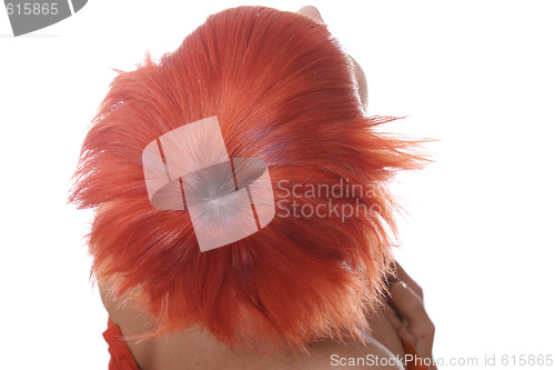 Image of Short red hairs