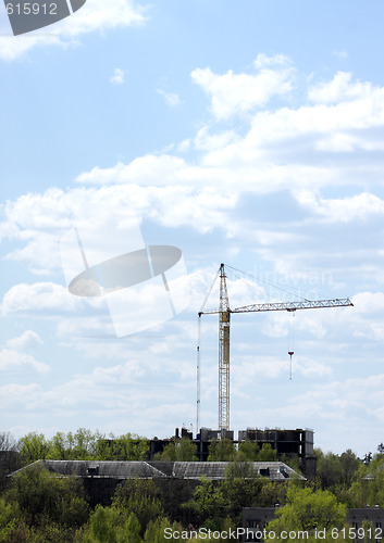 Image of Crane