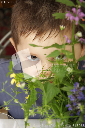 Image of Gaze behind flowers