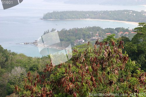 Image of Thailand