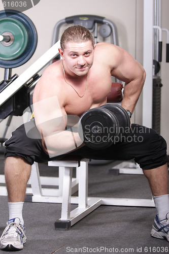 Image of Training biceps