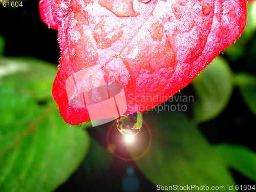 Image of SHINY DROPLET