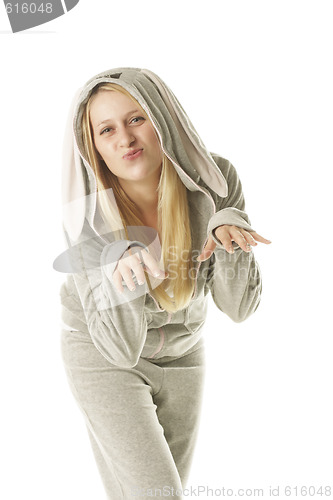 Image of Rabbit