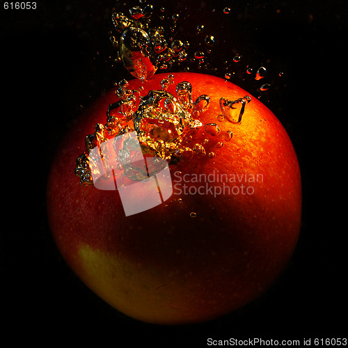 Image of Red apple