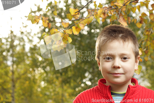 Image of Boy in autumn park looking to camera