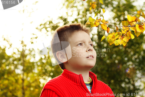 Image of Boy and autumn leaves