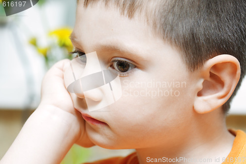 Image of Portrait of little boy