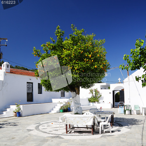 Image of Tangerine tree