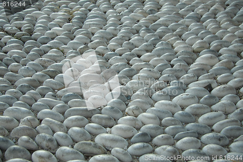 Image of Cobblestone pavement