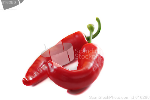 Image of Two chili peppers