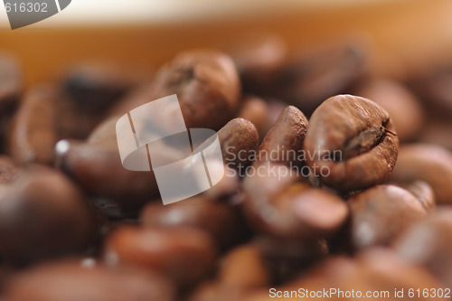 Image of Coffee beans