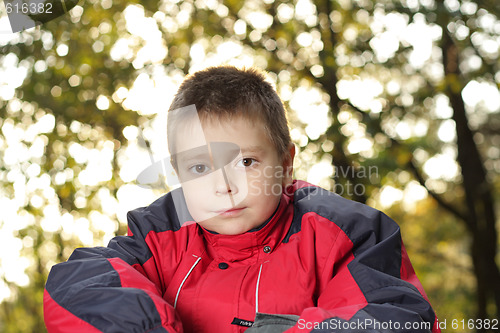 Image of Autumn portrait of boy 