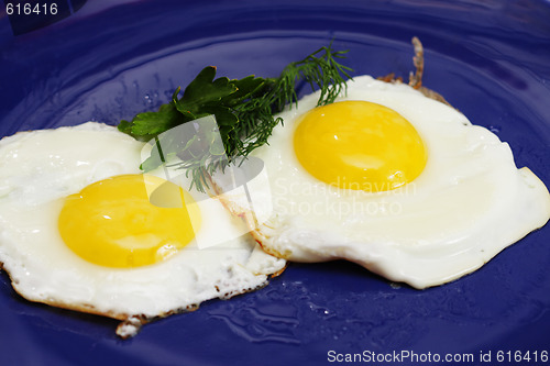 Image of Fried eggs