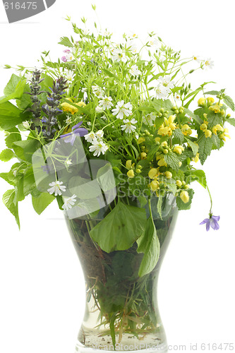 Image of Wildflowers