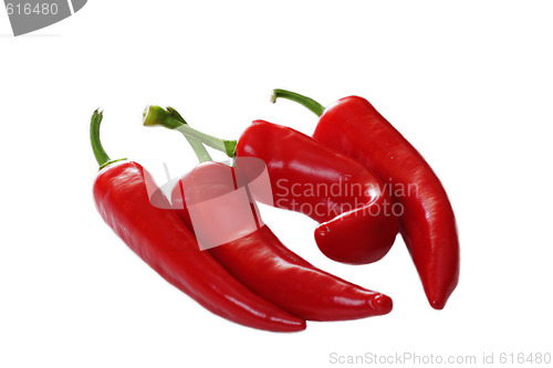 Image of Four chili peppers