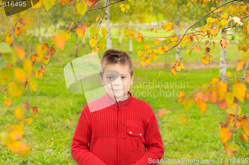 Image of Boy in autumn park