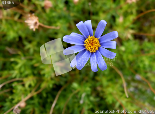 Image of 3D Flower