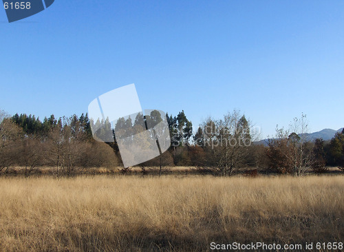 Image of Landscape & breeze