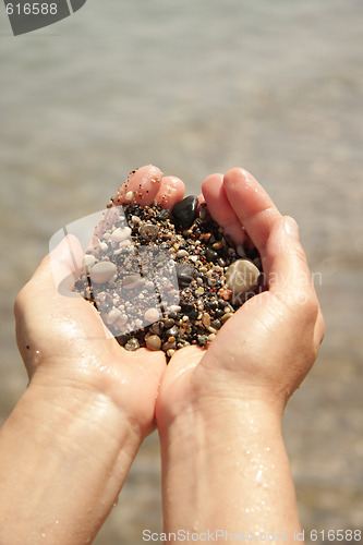 Image of Palms with sea sand