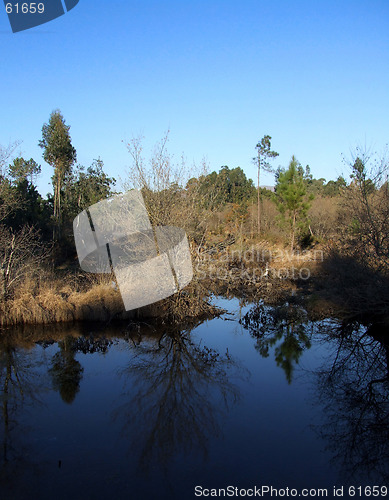 Image of Lagoon reflex