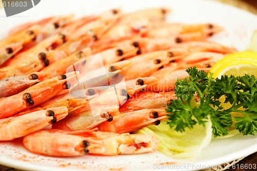 Image of Tasty shrimps on plate