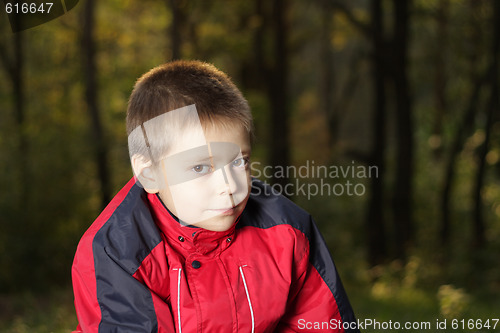 Image of Boy in autumn forest