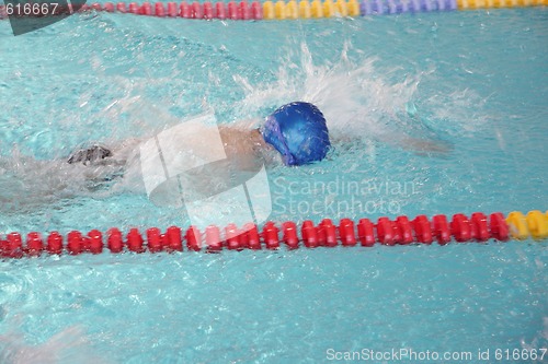 Image of Swimmer