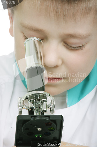 Image of Looking to microscope
