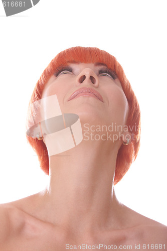 Image of Looking up