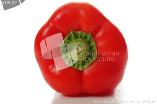 Image of Red paprika sideview