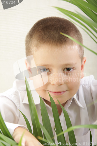 Image of Natural frame