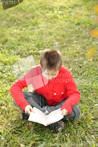 Image of Sitting boy reading book on grass