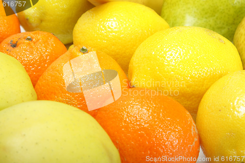Image of Fruits in rows
