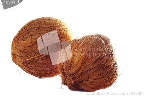 Image of Two coconuts