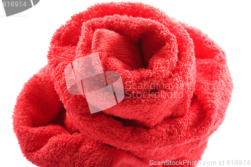 Image of Towel rose