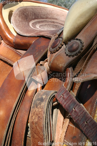 Image of Saddle