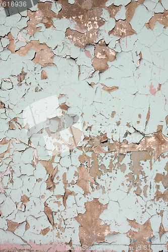 Image of Old paint
