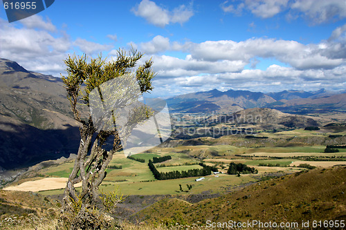 Image of New Zealand