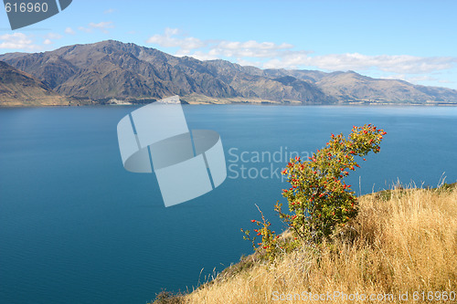 Image of New Zealand