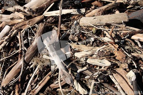 Image of Driftwood