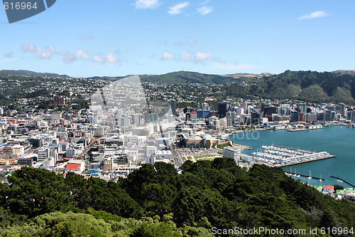 Image of Wellington