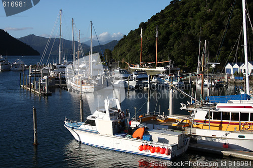 Image of Marina