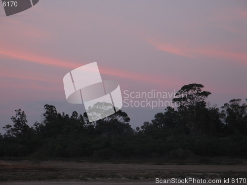 Image of Trees and skies 1. Larnaca. Cyprus